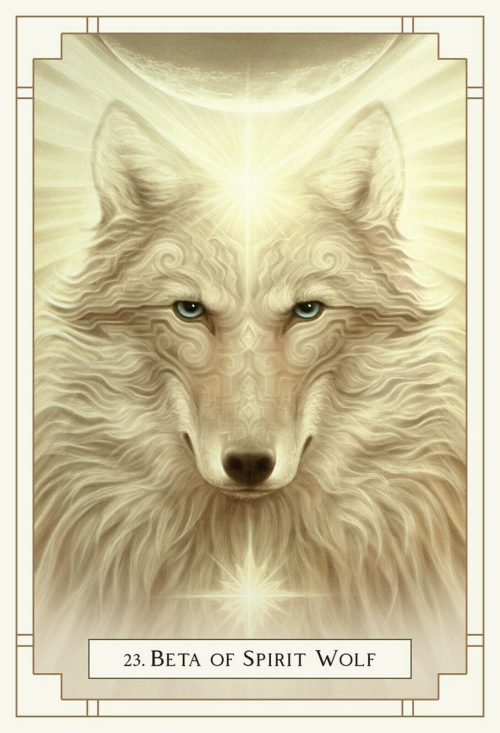 White Light Oracle by Alana Fairchild, NEW Sealed - Image 4