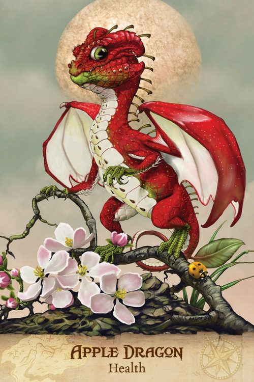 Field Guide to Garden Dragons, by Stanley Morrison & Arwen Lynch,  NEW Sealed - Image 4