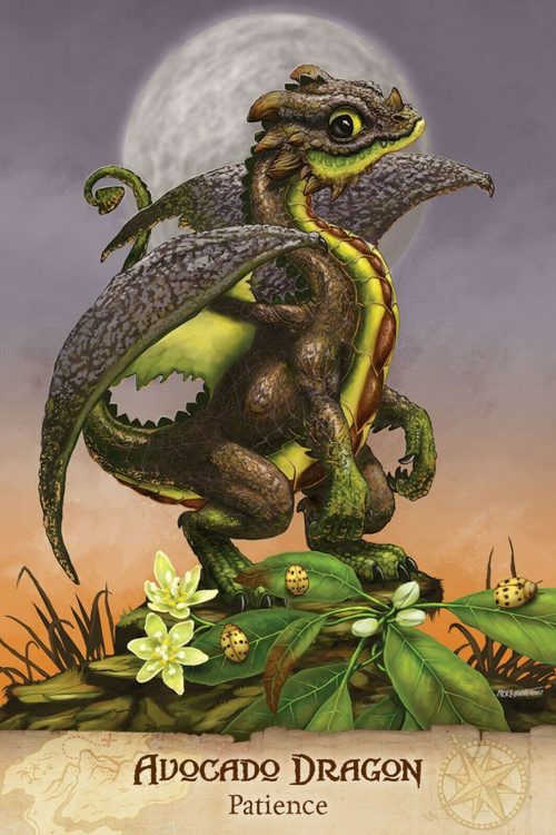 Field Guide to Garden Dragons, by Stanley Morrison & Arwen Lynch,  NEW Sealed - Image 5