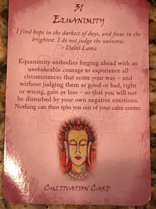 Buddhism Reading Cards, Wisdom for Peace, Love and Happiness NEW Sealed - Image 4