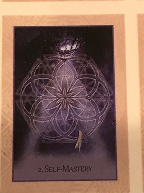 Native Heart Healing Oracle cards NEW Sealed - Image 7