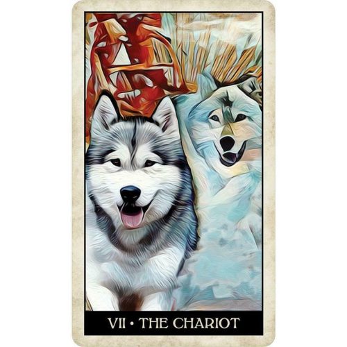 Wise Dog Tarot by MJ Cullinane NEW Sealed - Image 3