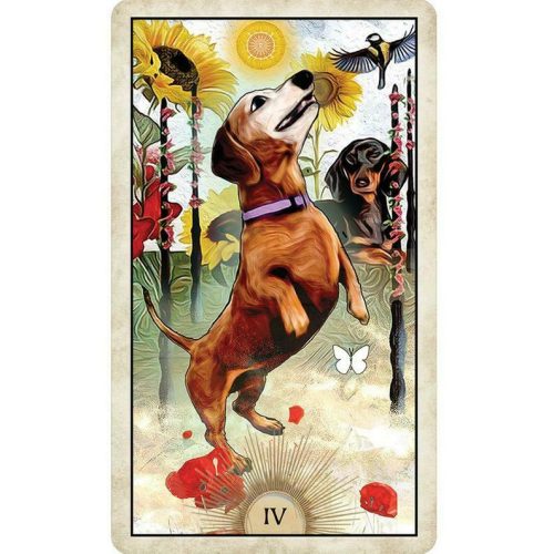 Wise Dog Tarot by MJ Cullinane NEW Sealed - Image 4