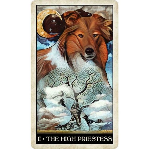 Wise Dog Tarot by MJ Cullinane NEW Sealed - Image 7